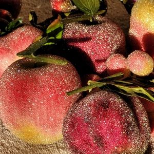 Sparkly decorative fruit